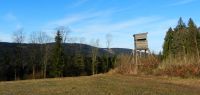 52 lichtung haidberg mit blick auf riedelswald